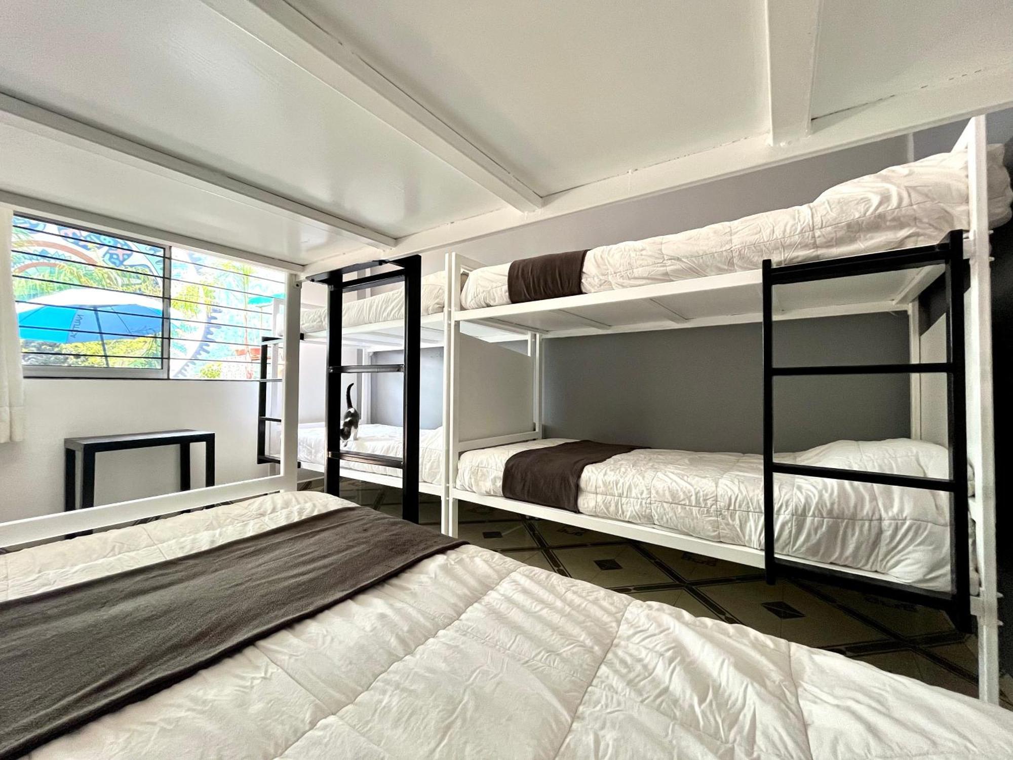 Alto Hostel Mexico By Eksteriør billede